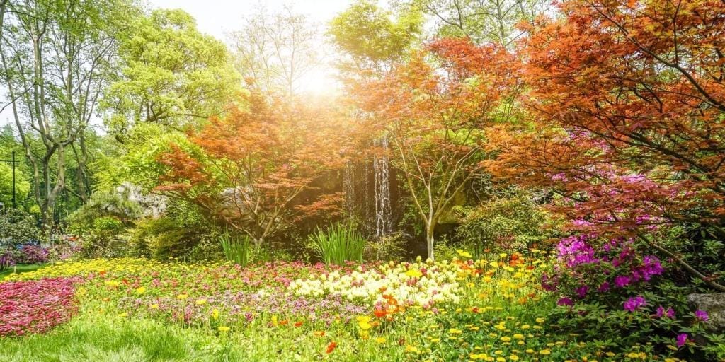 Je geest: een tuin die zorg nodig heeft