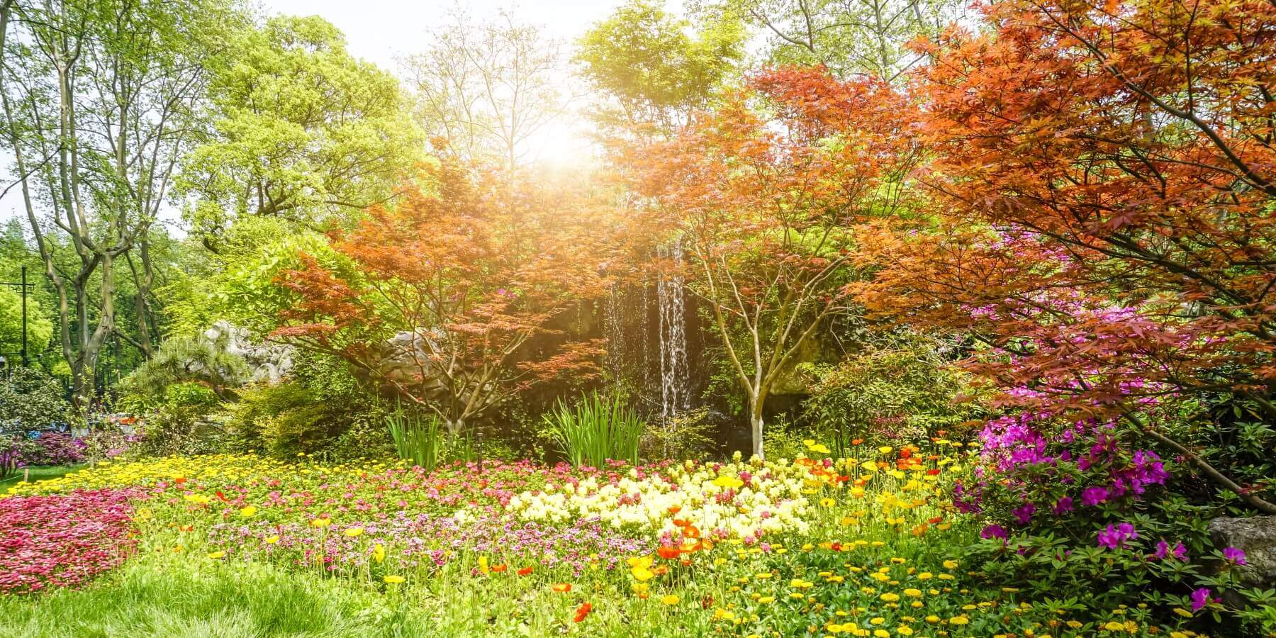 Je geest: een tuin die zorg nodig heeft